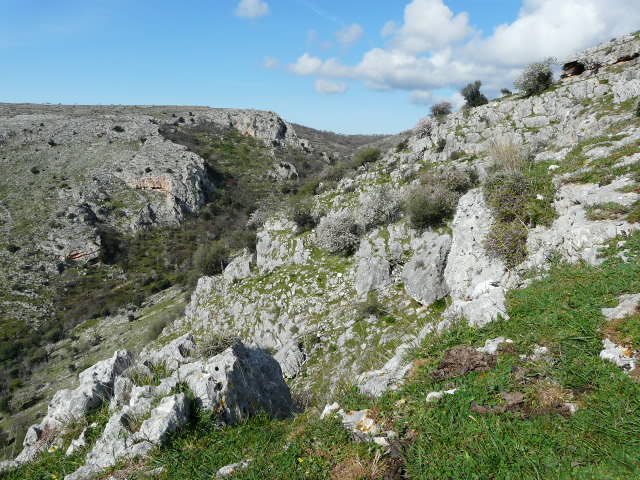 Monte Ividori con valle di Vituro...e vista sul Tavoliere